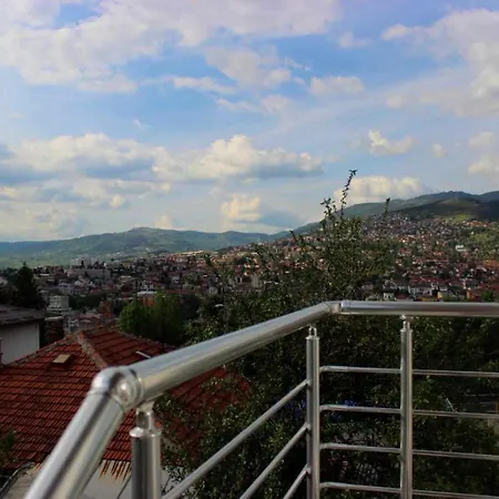 Vista *